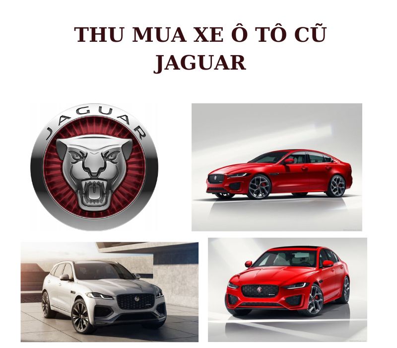 thu-mua-xe-o-to-cu-Jaguar