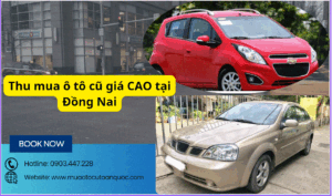 thu-mua-xe-o-to-cu-dong-nai