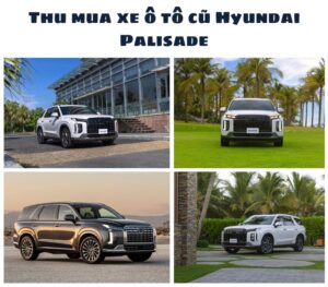 Thu-mua-xe-o-to-cu-Hyundai-Palisade-00000