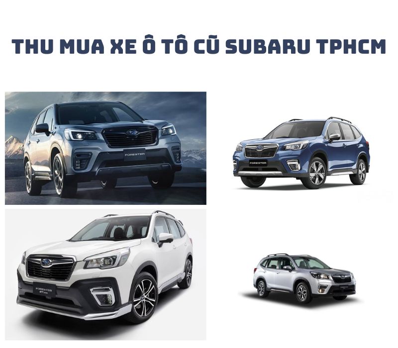 Thu-mua-xe-o-to-cu-Subaru-TPHCM