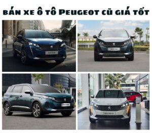 Ban-xe-o-to-Peugeot-cu-001001