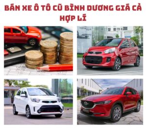 Ban-xe-o-to-cu-Binh-Duong-0101