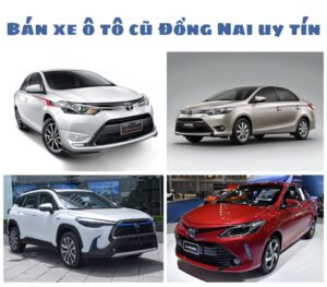 Ban-xe-o-to-cu-Dong-Nai