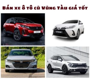 Ban-xe-o-to-cu-Vung-Tau-01010