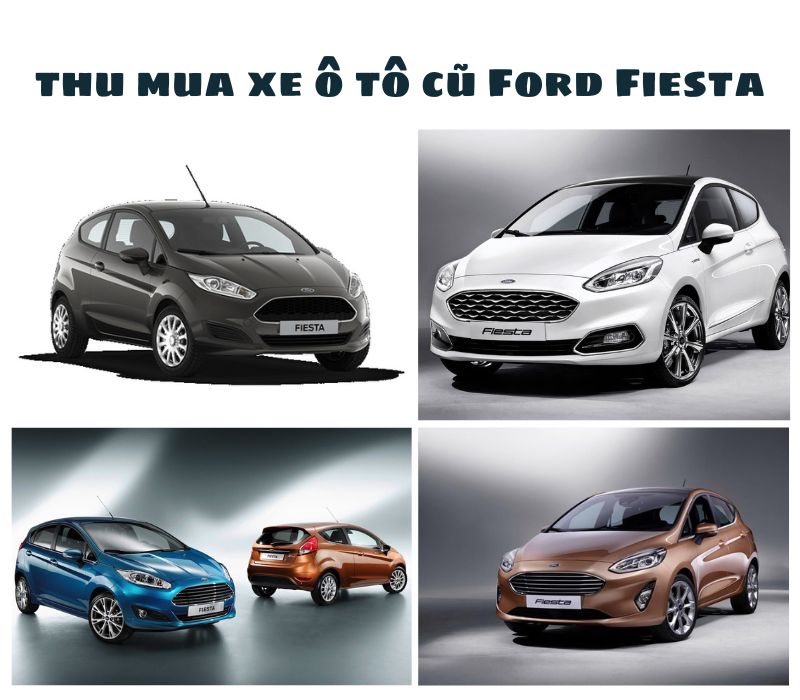 Thu-mua-xe-o-to-cu-Ford-Fiesta-10101