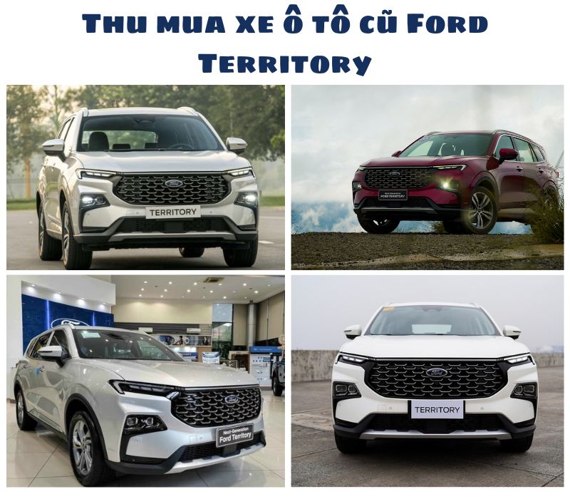 Thu-mua-xe-o-to-cu-Ford-Territory-1010