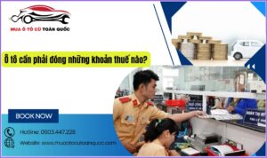 chủ ô tô cần phải đóng những khoản thuế nào